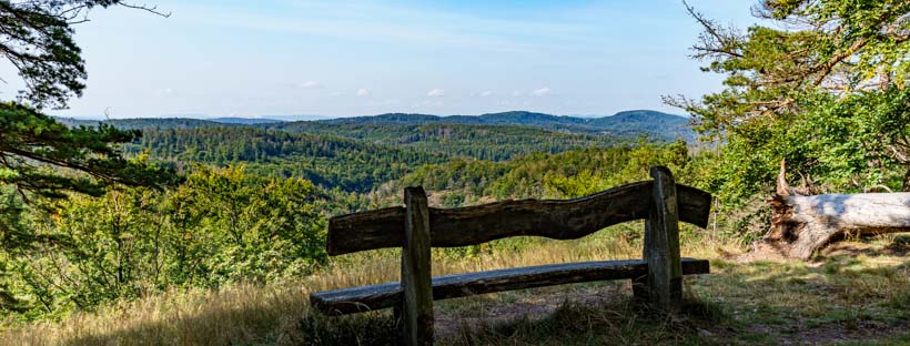 Blick zum Rennsteig